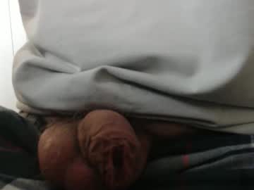 happyvelvetpaw naked man live cam
