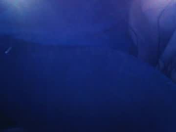 hiddenarc naked men live cam show