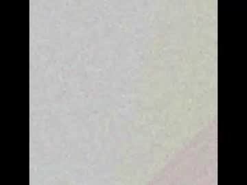 nicolatinboy naked men live cam show