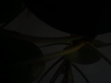 um_cammusc naked man live cam